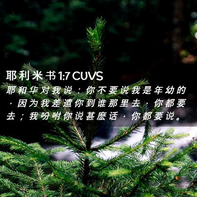 Picture 02 - 耶 利 米 书 1:7 CUVS - 耶 和 华 对 我 说 ： 你 不 要 说 我 - Bible Verse Picture