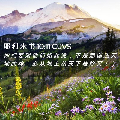 Picture 02 - 耶 利 米 书 10:11 CUVS - 你 们 要 对 他 们 如 此 说 ： 不 是 - Bible Verse Picture