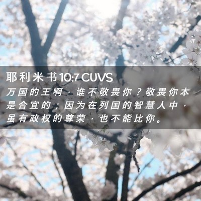 Picture 02 - 耶 利 米 书 10:7 CUVS - 万 国 的 王 啊 ， 谁 不 敬 畏 你 ？ - Bible Verse Picture
