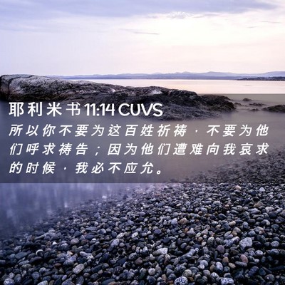 Picture 02 - 耶 利 米 书 11:14 CUVS - 所 以 你 不 要 为 这 百 姓 祈 祷 ， - Bible Verse Picture