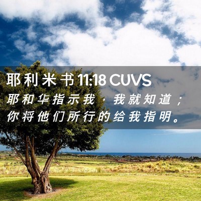Picture 02 - 耶 利 米 书 11:18 CUVS - 耶 和 华 指 示 我 ， 我 就 知 道 ； - Bible Verse Picture