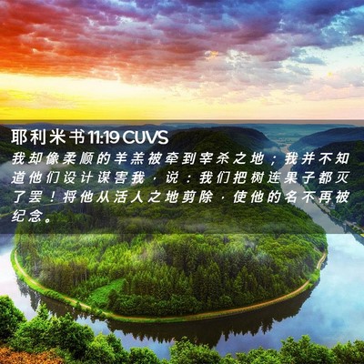 Picture 02 - 耶 利 米 书 11:19 CUVS - 我 却 像 柔 顺 的 羊 羔 被 牵 到 宰 - Bible Verse Picture