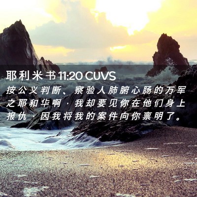 Picture 02 - 耶 利 米 书 11:20 CUVS - 按 公 义 判 断 、 察 验 人 肺 腑 心 - Bible Verse Picture