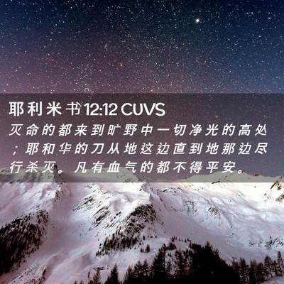 Picture 02 - 耶 利 米 书 12:12 CUVS - 灭 命 的 都 来 到 旷 野 中 一 切 净 - Bible Verse Picture