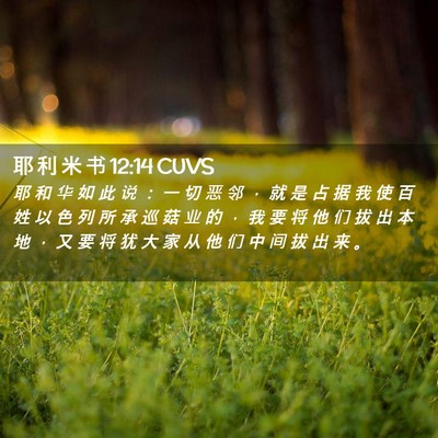 Picture 02 - 耶 利 米 书 12:14 CUVS - 耶 和 华 如 此 说 ： 一 切 恶 邻 ， - Bible Verse Picture