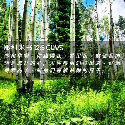 Picture 02 - 耶 利 米 书 12:3 CUVS - 耶 和 华 啊 ， 你 晓 得 我 ， 看 见 - Bible Verse Picture