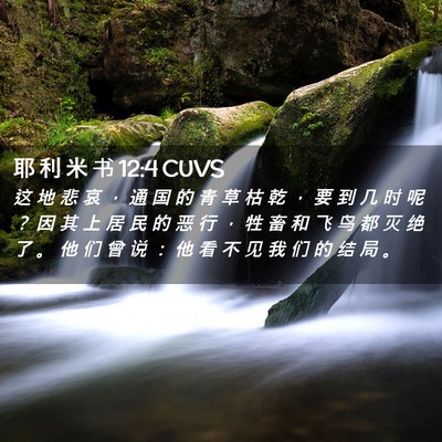 Picture 02 - 耶 利 米 书 12:4 CUVS - 这 地 悲 哀 ， 通 国 的 青 草 枯 乾 - Bible Verse Picture