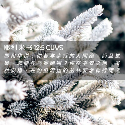 Picture 02 - 耶 利 米 书 12:5 CUVS - 耶 和 华 说 ： 你 若 与 步 行 的 人 - Bible Verse Picture