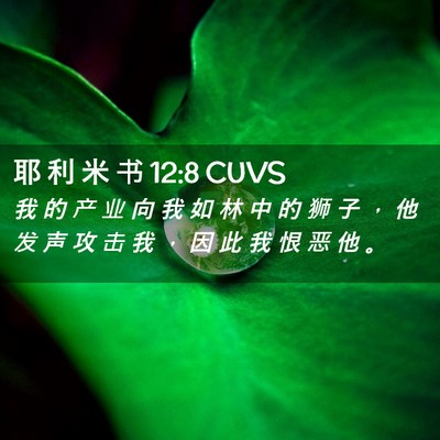 Picture 02 - 耶 利 米 书 12:8 CUVS - 我 的 产 业 向 我 如 林 中 的 狮 子 - Bible Verse Picture