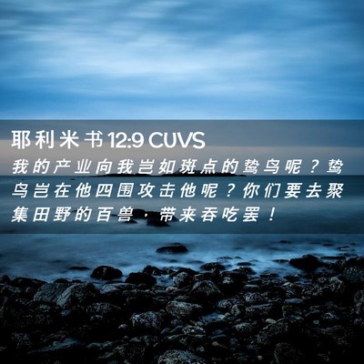 Picture 02 - 耶 利 米 书 12:9 CUVS - 我 的 产 业 向 我 岂 如 斑 点 的 鸷 - Bible Verse Picture