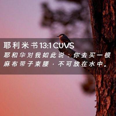 Picture 02 - 耶 利 米 书 13:1 CUVS - 耶 和 华 对 我 如 此 说 ： 你 去 买 - Bible Verse Picture