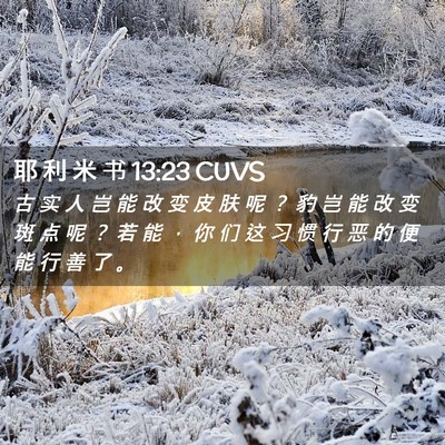 Picture 02 - 耶 利 米 书 13:23 CUVS - 古 实 人 岂 能 改 变 皮 肤 呢 ？ 豹 - Bible Verse Picture