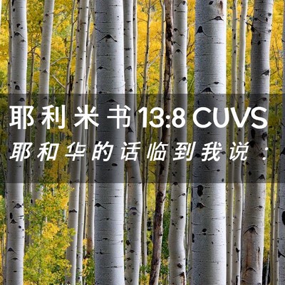 Picture 02 - 耶 利 米 书 13:8 CUVS - 耶 和 华 的 话 临 到 我 说 - Bible Verse Picture
