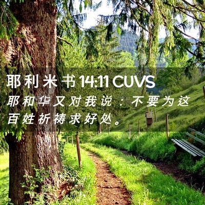 Picture 02 - 耶 利 米 书 14:11 CUVS - 耶 和 华 又 对 我 说 ： 不 要 为 这 - Bible Verse Picture