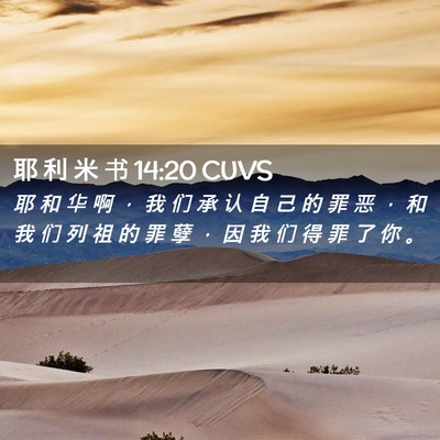 Picture 02 - 耶 利 米 书 14:20 CUVS - 耶 和 华 啊 ， 我 们 承 认 自 己 的 - Bible Verse Picture