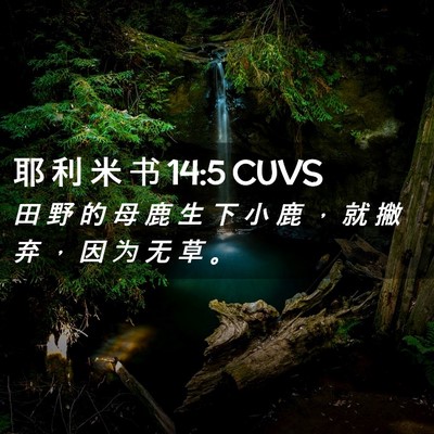 Picture 02 - 耶 利 米 书 14:5 CUVS - 田 野 的 母 鹿 生 下 小 鹿 ， 就 撇 - Bible Verse Picture