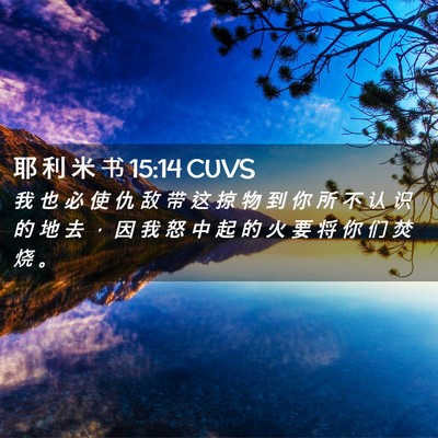 Picture 02 - 耶 利 米 书 15:14 CUVS - 我 也 必 使 仇 敌 带 这 掠 物 到 你 - Bible Verse Picture