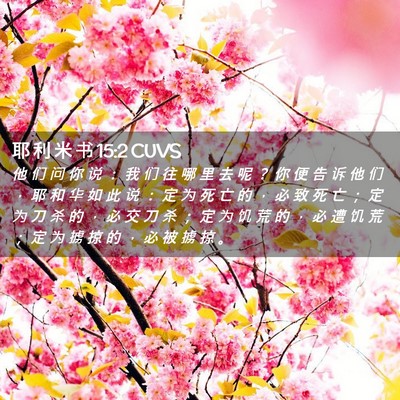 Picture 02 - 耶 利 米 书 15:2 CUVS - 他 们 问 你 说 ： 我 们 往 哪 里 去 - Bible Verse Picture