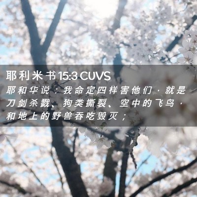 Picture 02 - 耶 利 米 书 15:3 CUVS - 耶 和 华 说 ： 我 命 定 四 样 害 他 - Bible Verse Picture