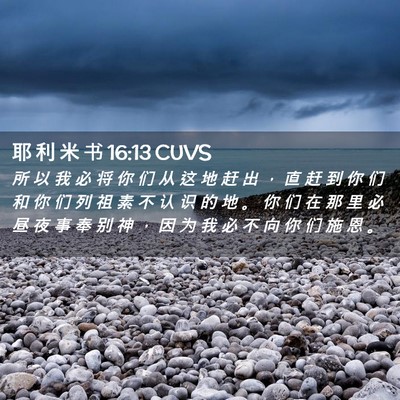 Picture 02 - 耶 利 米 书 16:13 CUVS - 所 以 我 必 将 你 们 从 这 地 赶 出 - Bible Verse Picture