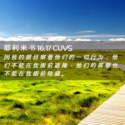 Picture 02 - 耶 利 米 书 16:17 CUVS - 因 我 的 眼 目 察 看 他 们 的 一 切 - Bible Verse Picture