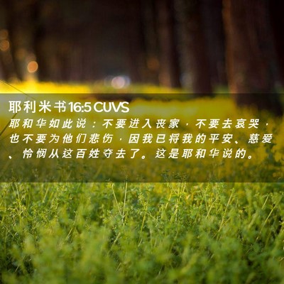 Picture 02 - 耶 利 米 书 16:5 CUVS - 耶 和 华 如 此 说 ： 不 要 进 入 丧 - Bible Verse Picture