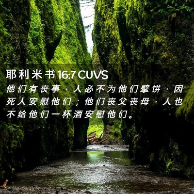 Picture 02 - 耶 利 米 书 16:7 CUVS - 他 们 有 丧 事 ， 人 必 不 为 他 们 - Bible Verse Picture