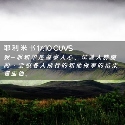 Picture 02 - 耶 利 米 书 17:10 CUVS - 我 ─ 耶 和 华 是 鉴 察 人 心 、 试 - Bible Verse Picture