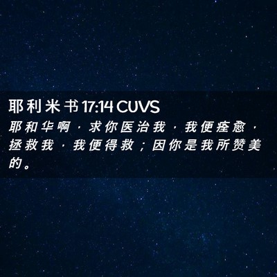 Picture 02 - 耶 利 米 书 17:14 CUVS - 耶 和 华 啊 ， 求 你 医 治 我 ， 我 - Bible Verse Picture