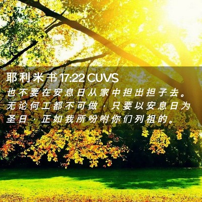 Picture 02 - 耶 利 米 书 17:22 CUVS - 也 不 要 在 安 息 日 从 家 中 担 出 - Bible Verse Picture
