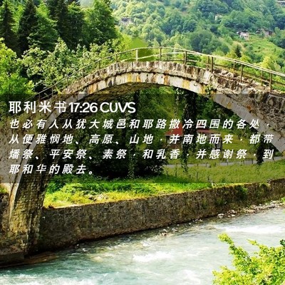 Picture 02 - 耶 利 米 书 17:26 CUVS - 也 必 有 人 从 犹 大 城 邑 和 耶 路 - Bible Verse Picture