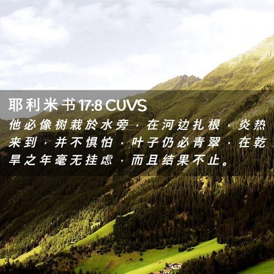 Picture 02 - 耶 利 米 书 17:8 CUVS - 他 必 像 树 栽 於 水 旁 ， 在 河 边 - Bible Verse Picture