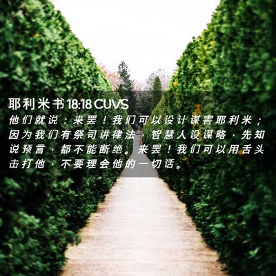 Picture 02 - 耶 利 米 书 18:18 CUVS - 他 们 就 说 ： 来 罢 ！ 我 们 可 以 - Bible Verse Picture