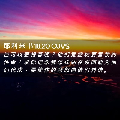Picture 02 - 耶 利 米 书 18:20 CUVS - 岂 可 以 恶 报 善 呢 ？ 他 们 竟 挖 - Bible Verse Picture
