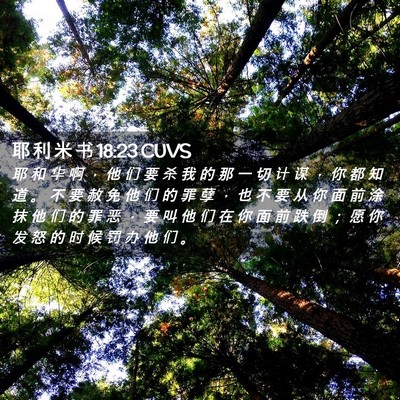 Picture 02 - 耶 利 米 书 18:23 CUVS - 耶 和 华 啊 ， 他 们 要 杀 我 的 那 - Bible Verse Picture