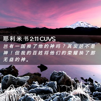 Picture 02 - 耶 利 米 书 2:11 CUVS - 岂 有 一 国 换 了 他 的 神 吗 ？ 其 - Bible Verse Picture