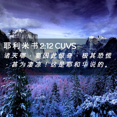 Picture 02 - 耶 利 米 书 2:12 CUVS - 诸 天 哪 ， 要 因 此 惊 奇 ， 极 其 - Bible Verse Picture