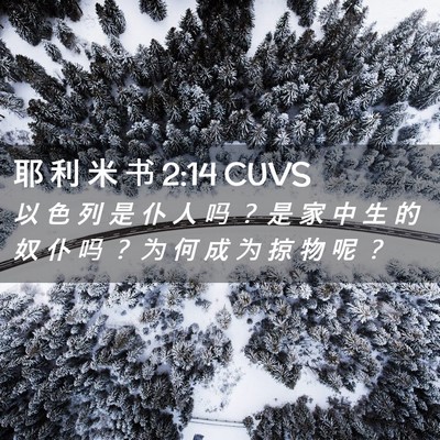 Picture 02 - 耶 利 米 书 2:14 CUVS - 以 色 列 是 仆 人 吗 ？ 是 家 中 生 - Bible Verse Picture