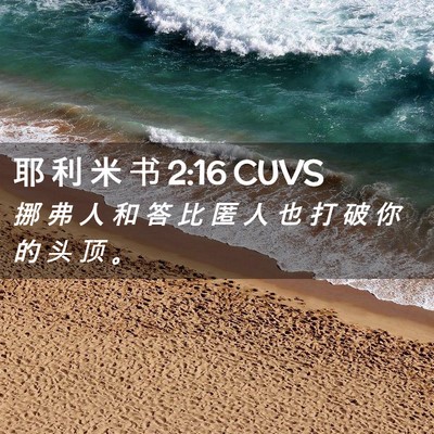 Picture 02 - 耶 利 米 书 2:16 CUVS - 挪 弗 人 和 答 比 匿 人 也 打 破 你 - Bible Verse Picture