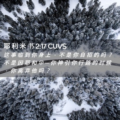 Picture 02 - 耶 利 米 书 2:17 CUVS - 这 事 临 到 你 身 上 ， 不 是 你 自 - Bible Verse Picture