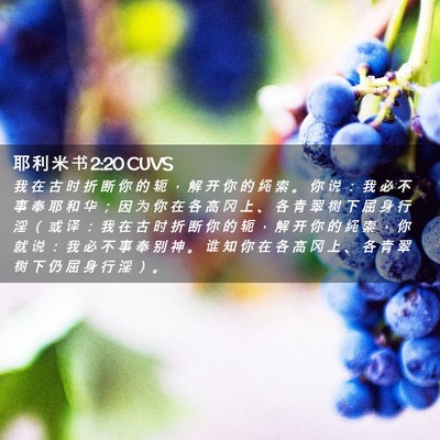 Picture 02 - 耶 利 米 书 2:20 CUVS - 我 在 古 时 折 断 你 的 轭 ， 解 开 - Bible Verse Picture