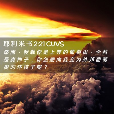 Picture 02 - 耶 利 米 书 2:21 CUVS - 然 而 ， 我 栽 你 是 上 等 的 葡 萄 - Bible Verse Picture