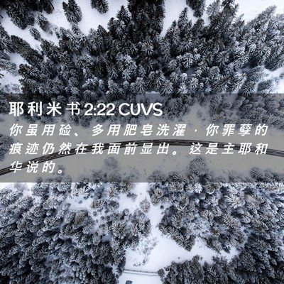 Picture 02 - 耶 利 米 书 2:22 CUVS - 你 虽 用 硷 、 多 用 肥 皂 洗 濯 ， - Bible Verse Picture