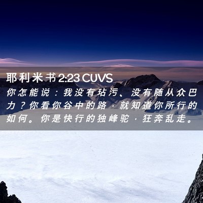 Picture 02 - 耶 利 米 书 2:23 CUVS - 你 怎 能 说 ： 我 没 有 玷 污 、 没 - Bible Verse Picture