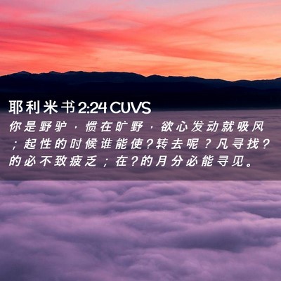 Picture 02 - 耶 利 米 书 2:24 CUVS - 你 是 野 驴 ， 惯 在 旷 野 ， 欲 心 - Bible Verse Picture