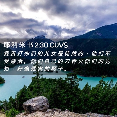 Picture 02 - 耶 利 米 书 2:30 CUVS - 我 责 打 你 们 的 儿 女 是 徒 然 的 - Bible Verse Picture