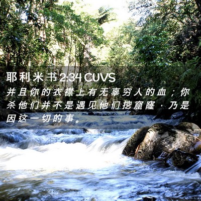 Picture 02 - 耶 利 米 书 2:34 CUVS - 并 且 你 的 衣 襟 上 有 无 辜 穷 人 - Bible Verse Picture