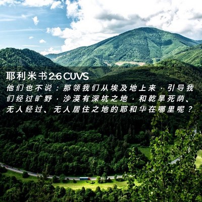 Picture 02 - 耶 利 米 书 2:6 CUVS - 他 们 也 不 说 ： 那 领 我 们 从 埃 - Bible Verse Picture