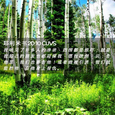 Picture 02 - 耶 利 米 书 20:10 CUVS - 我 听 见 了 许 多 人 的 谗 谤 ， 四 - Bible Verse Picture