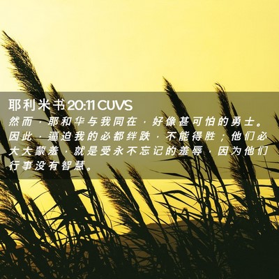 Picture 02 - 耶 利 米 书 20:11 CUVS - 然 而 ， 耶 和 华 与 我 同 在 ， 好 - Bible Verse Picture
